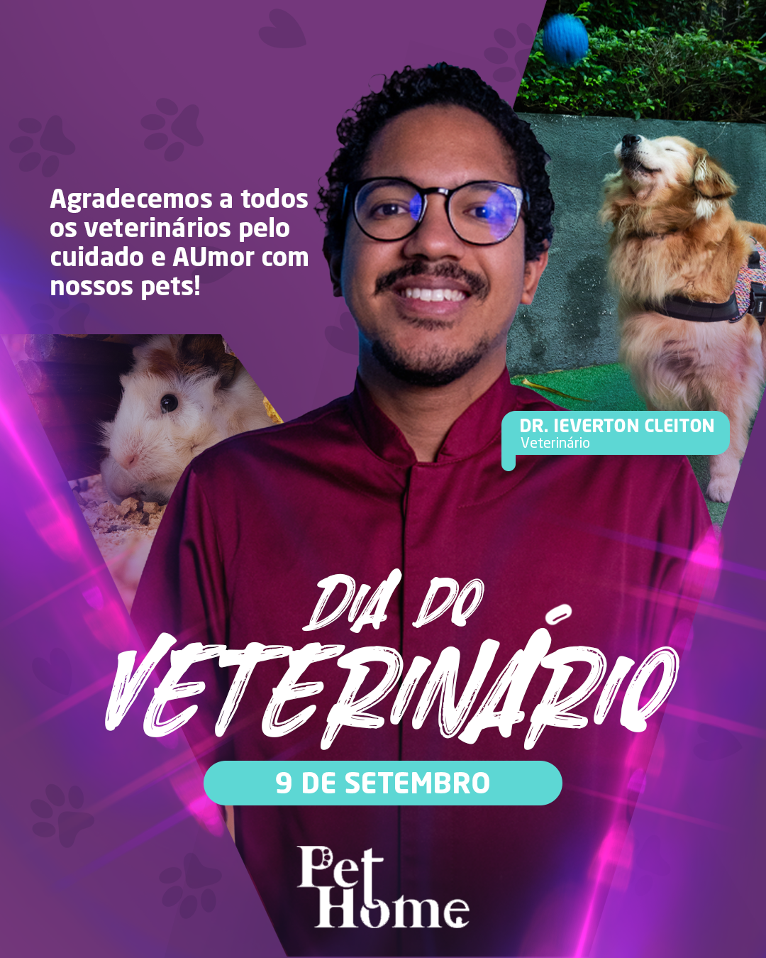 Portfolio 36